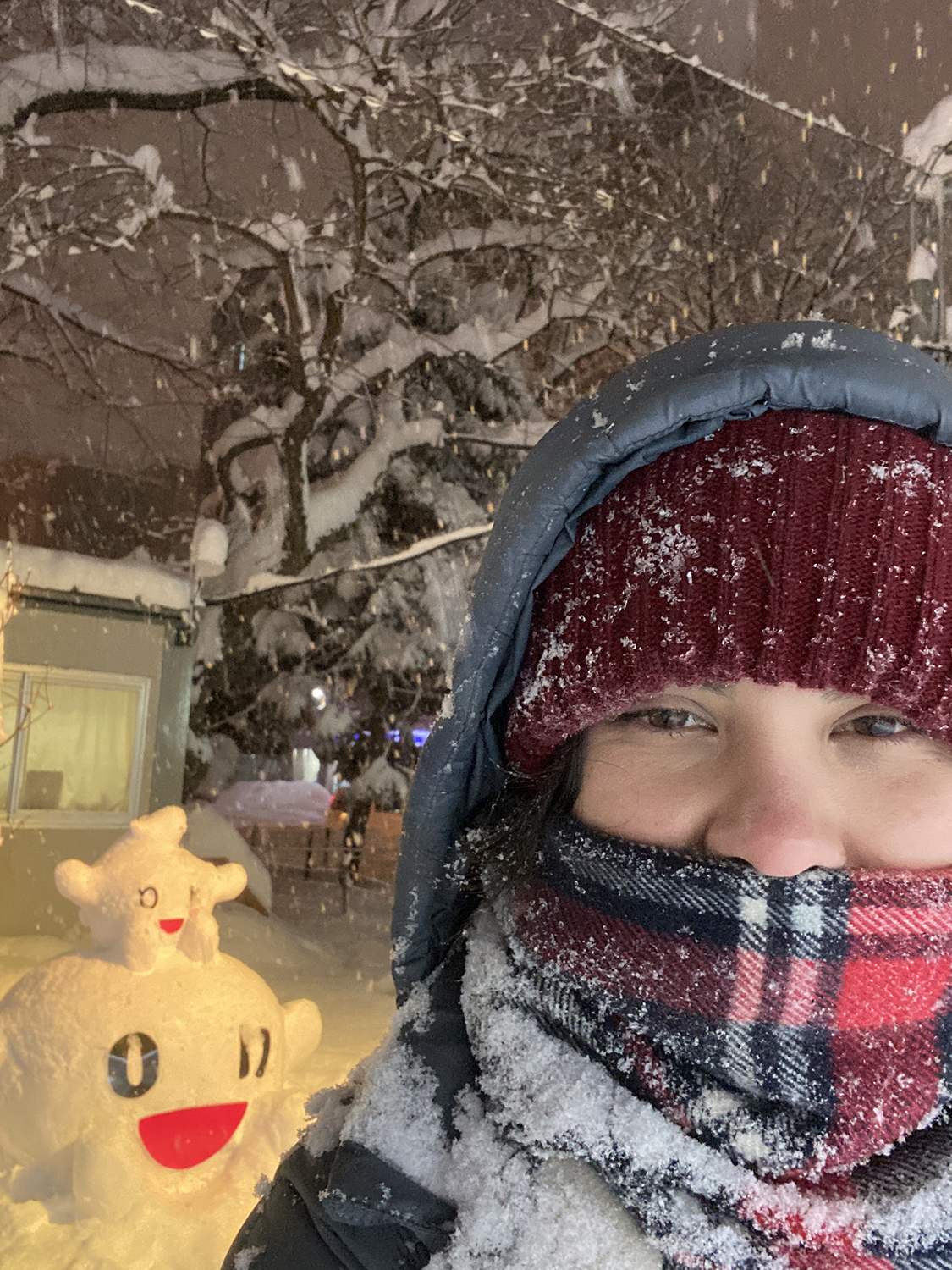 Festival de la Nieve de Sapporo 2020
