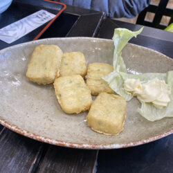 tofu frito azuma nikko
